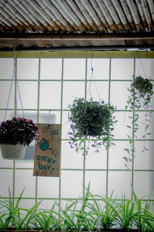 Tuti Tong Dan Homestay Hà Nội Ngoại thất bức ảnh