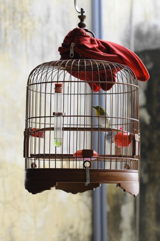 Tuti Tong Dan Homestay Hà Nội Ngoại thất bức ảnh
