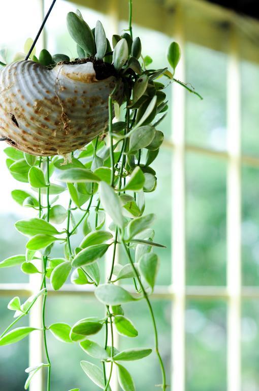 Tuti Tong Dan Homestay Hà Nội Ngoại thất bức ảnh